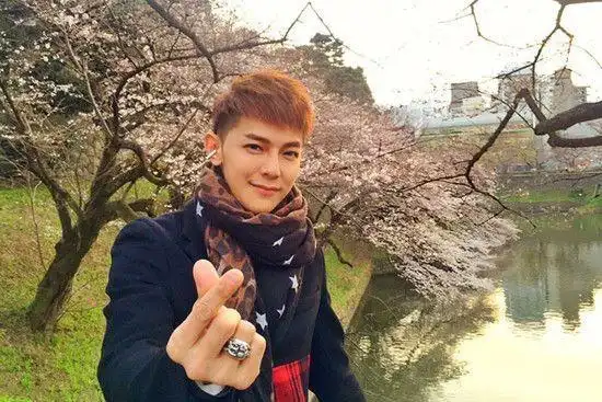 汪东城是否退出娱乐圈_言承旭F4队长单飞发展_吴奇隆单飞现状