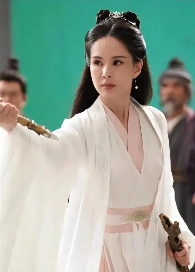 李若彤感情经历_什么彤的女明星_李若彤隐退娱乐圈原因