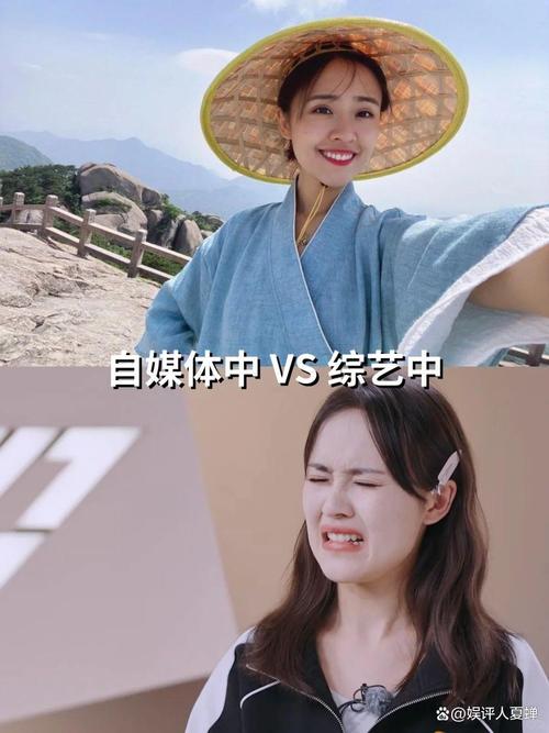 娱乐圈有哪些素质很高的明星_娱乐圈最没素质的明星_明星没素质的行为